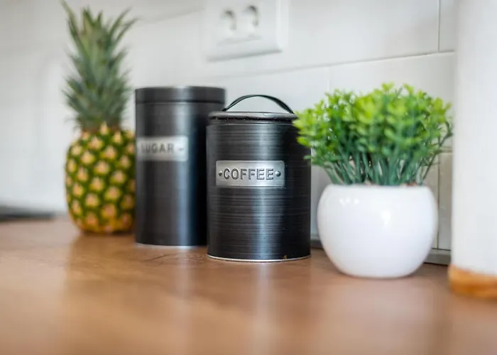 Spacious Rocky With Balcony Appartamento *